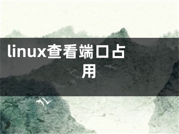 linux查看端口占用