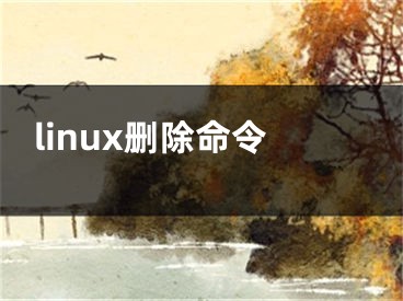 linux删除命令 