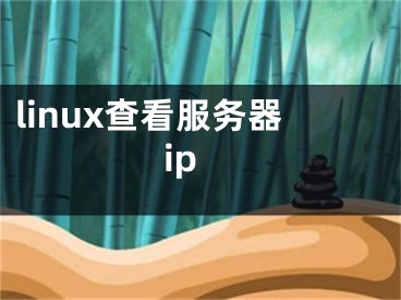 linux查看服务器ip