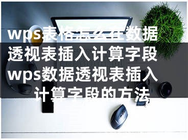 wps表格怎么在数据透视表插入计算字段 wps数据透视表插入计算字段的方法 