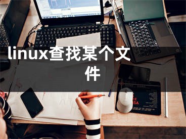 linux查找某个文件