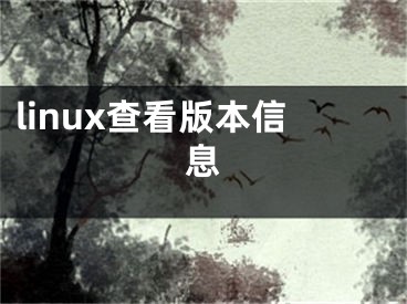 linux查看版本信息