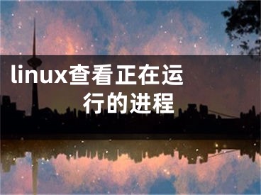 linux查看正在运行的进程