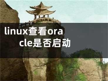 linux查看oracle是否启动