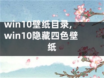 win10壁纸目录,win10隐藏四色壁纸