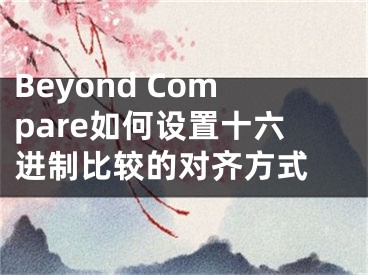 Beyond Compare如何设置十六进制比较的对齐方式 