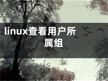 linux查看用户所属组