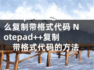Notepad++怎么复制带格式代码 Notepad++复制带格式代码的方法