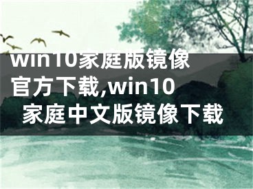 win10家庭版镜像官方下载,win10家庭中文版镜像下载