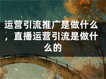 运营引流推广是做什么，直播运营引流是做什么的 