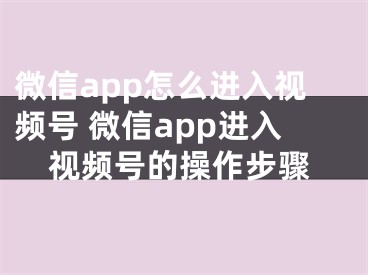 微信app怎么进入视频号 微信app进入视频号的操作步骤