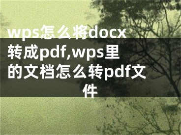 wps怎么将docx转成pdf,wps里的文档怎么转pdf文件