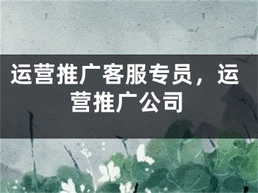 运营推广客服专员，运营推广公司