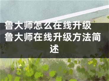 鲁大师怎么在线升级 鲁大师在线升级方法简述