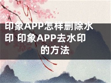 印象APP怎样删除水印 印象APP去水印的方法