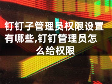 钉钉子管理员权限设置有哪些,钉钉管理员怎么给权限