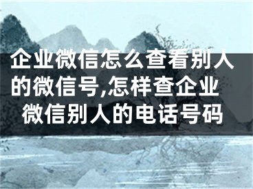 企业微信怎么查看别人的微信号,怎样查企业微信别人的电话号码