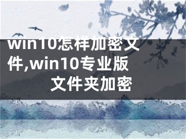 win10怎样加密文件,win10专业版文件夹加密 