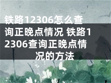 铁路12306怎么查询正晚点情况 铁路12306查询正晚点情况的方法