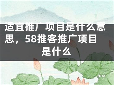 适宜推广项目是什么意思，58推客推广项目是什么