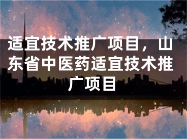 适宜技术推广项目，山东省中医药适宜技术推广项目