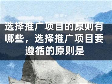 选择推广项目的原则有哪些，选择推广项目要遵循的原则是