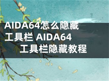 AIDA64怎么隐藏工具栏 AIDA64工具栏隐藏教程