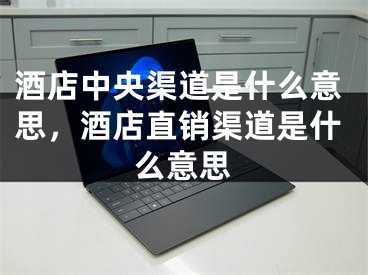 酒店中央渠道是什么意思，酒店直销渠道是什么意思