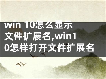 win 10怎么显示文件扩展名,win10怎样打开文件扩展名