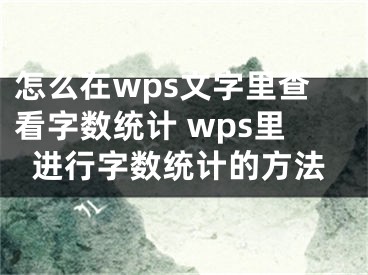 怎么在wps文字里查看字数统计 wps里进行字数统计的方法