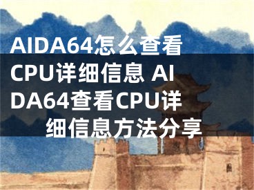 AIDA64怎么查看CPU详细信息 AIDA64查看CPU详细信息方法分享