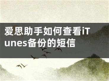 爱思助手如何查看iTunes备份的短信 