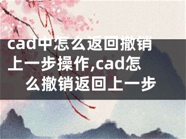 cad中怎么返回撤销上一步操作,cad怎么撤销返回上一步