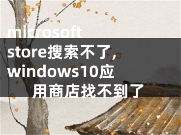 microsoft store搜索不了,windows10应用商店找不到了