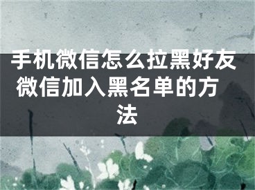 手机微信怎么拉黑好友 微信加入黑名单的方法