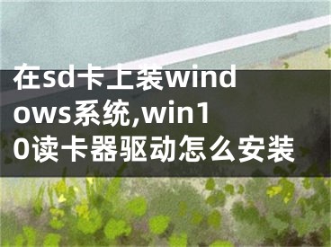 在sd卡上装windows系统,win10读卡器驱动怎么安装