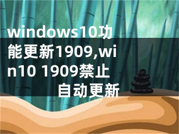windows10功能更新1909,win10 1909禁止自动更新