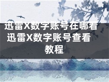 迅雷X数字账号在哪看 迅雷X数字账号查看教程