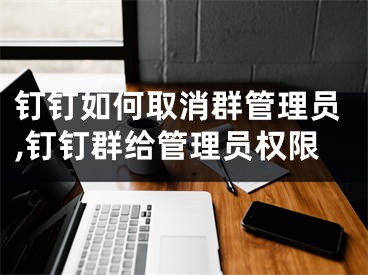 钉钉如何取消群管理员,钉钉群给管理员权限