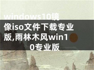 windows10镜像iso文件下载专业版,雨林木风win10专业版
