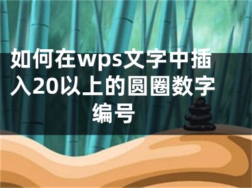 如何在wps文字中插入20以上的圆圈数字编号 