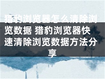 猎豹浏览器怎么清除浏览数据 猎豹浏览器快速清除浏览数据方法分享