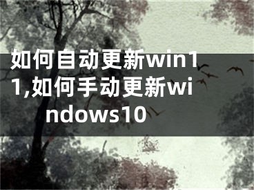 如何自动更新win11,如何手动更新windows10