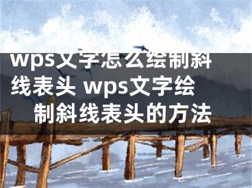 wps文字怎么绘制斜线表头 wps文字绘制斜线表头的方法