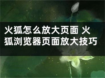 火狐怎么放大页面 火狐浏览器页面放大技巧