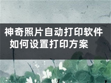 神奇照片自动打印软件如何设置打印方案 