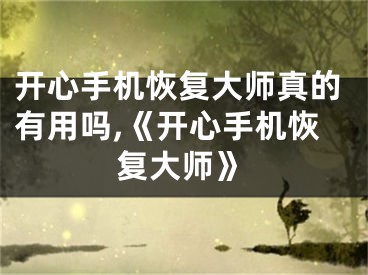 开心手机恢复大师真的有用吗,《开心手机恢复大师》