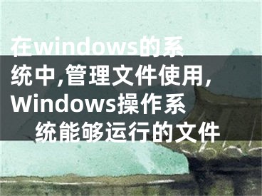 在windows的系统中,管理文件使用,Windows操作系统能够运行的文件