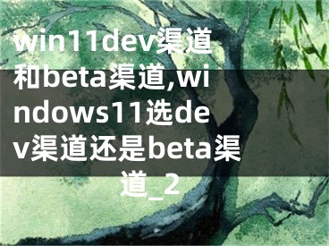 win11dev渠道和beta渠道,windows11选dev渠道还是beta渠道_2