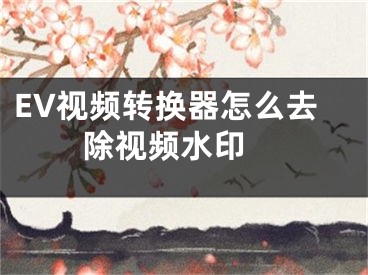 EV视频转换器怎么去除视频水印 